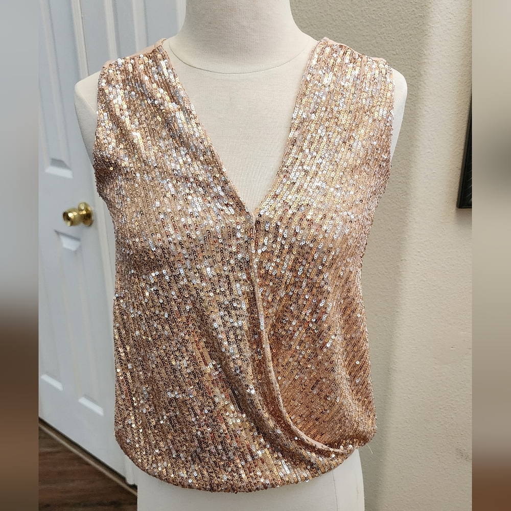 Daytrip Sequin Short Sleeve Blouse Rose Gold‎ Color Size Small